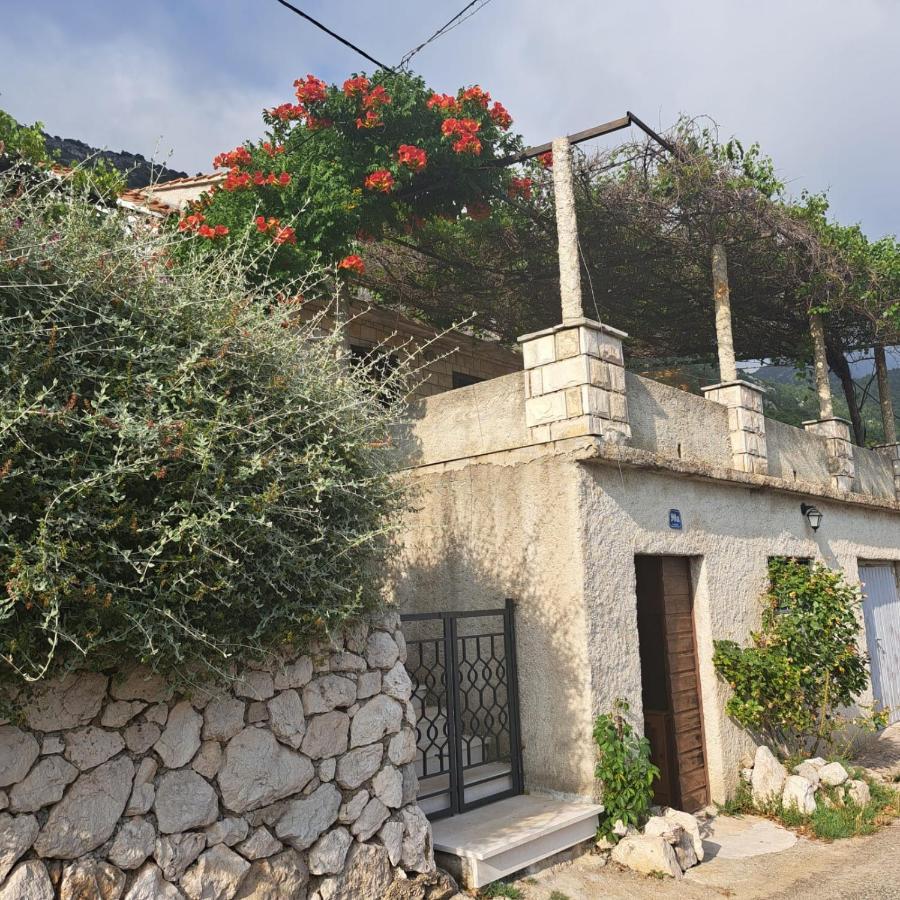 Guest House Tanja Babino Polje Zewnętrze zdjęcie
